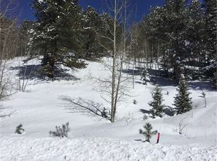 318 Willow Rd, Divide, CO 80814