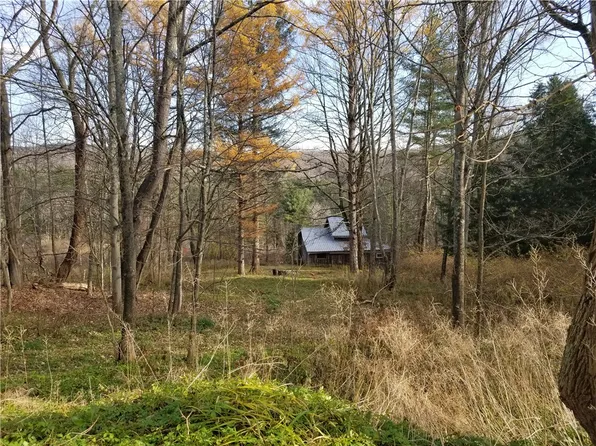 1718 State Highway 51 #28, Gilbertsville, NY 13776
