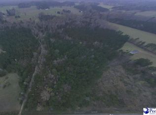 0 Olivia Rd, Andrews, SC 29510