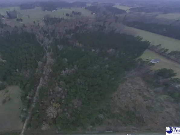 0 Olivia Rd, Andrews, SC 29510