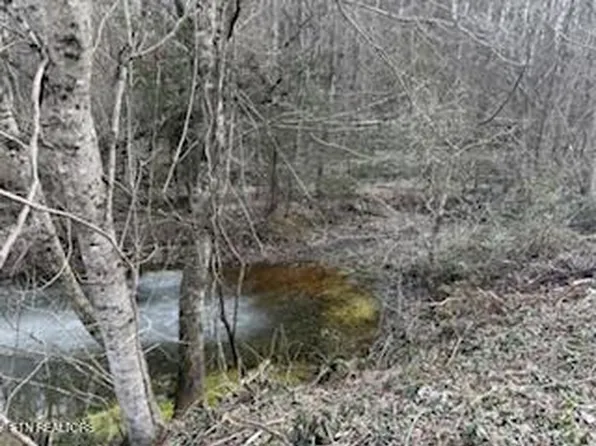 Bates Gibson Rd, Sevierville, TN 37876