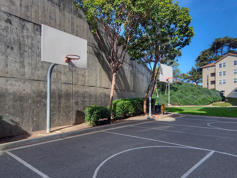 Basketball Court