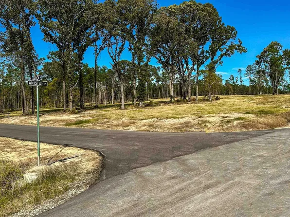 15639 Aniston Ln Lot 4, Flint, TX 75762