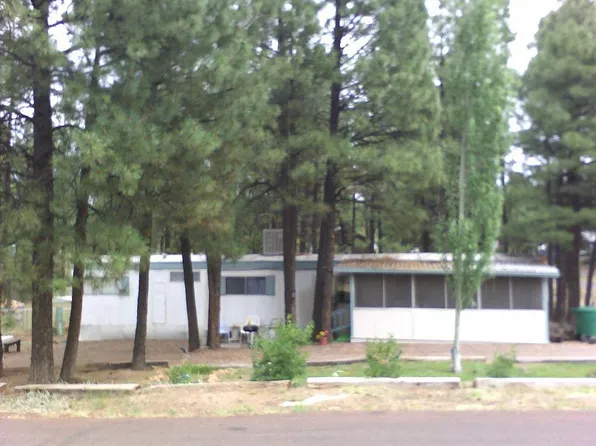 1100 N 22nd Dr, Show Low, AZ 85901