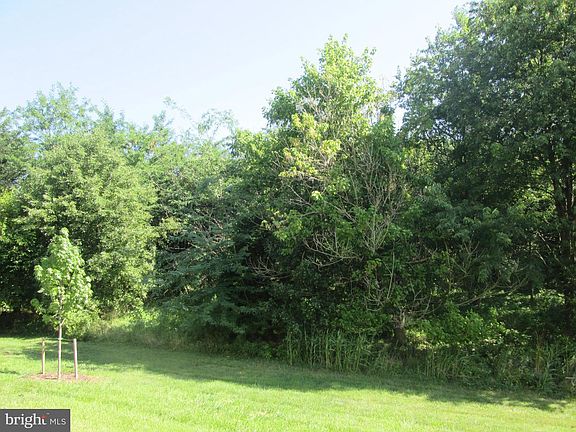 4th image of 1542 Trafalgar Ln
