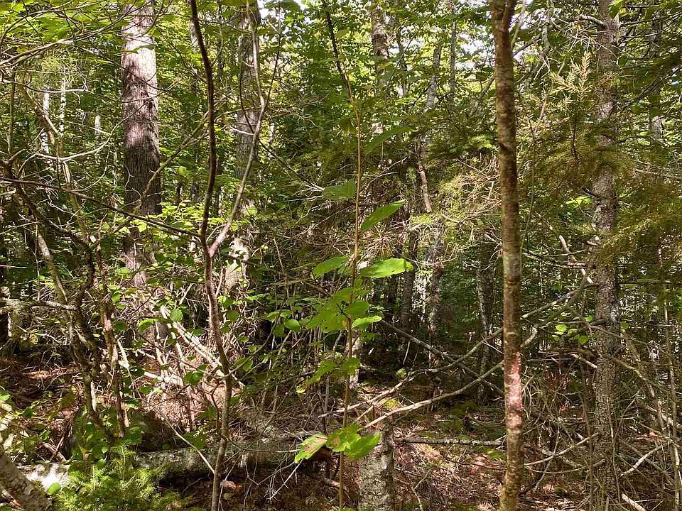 2nd image of Forest Point Loop Lot 64