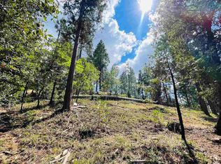 22717 Tamarack Dr, Twain Harte, CA 95383