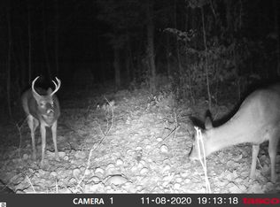 405 Plum Valley Rd NE, Mancelona, MI 49659