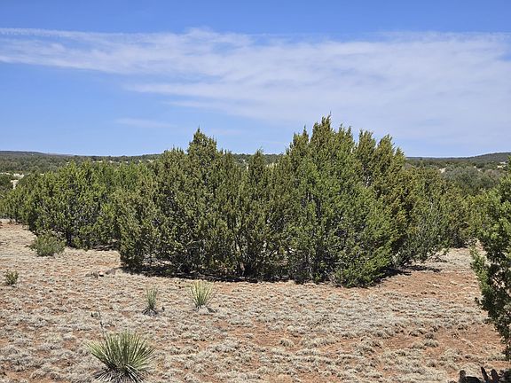 5th image of 0 Oakwood Rd #8