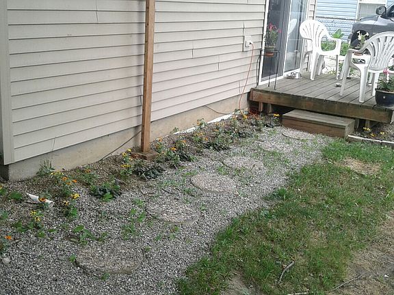 Back patio