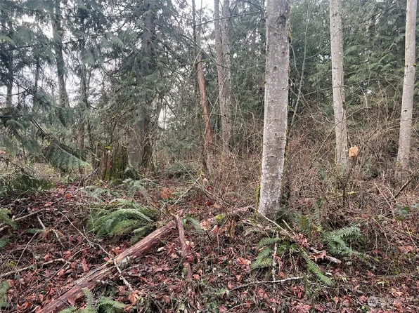 0 XX Valley View Road, Sedro Woolley, WA 98284