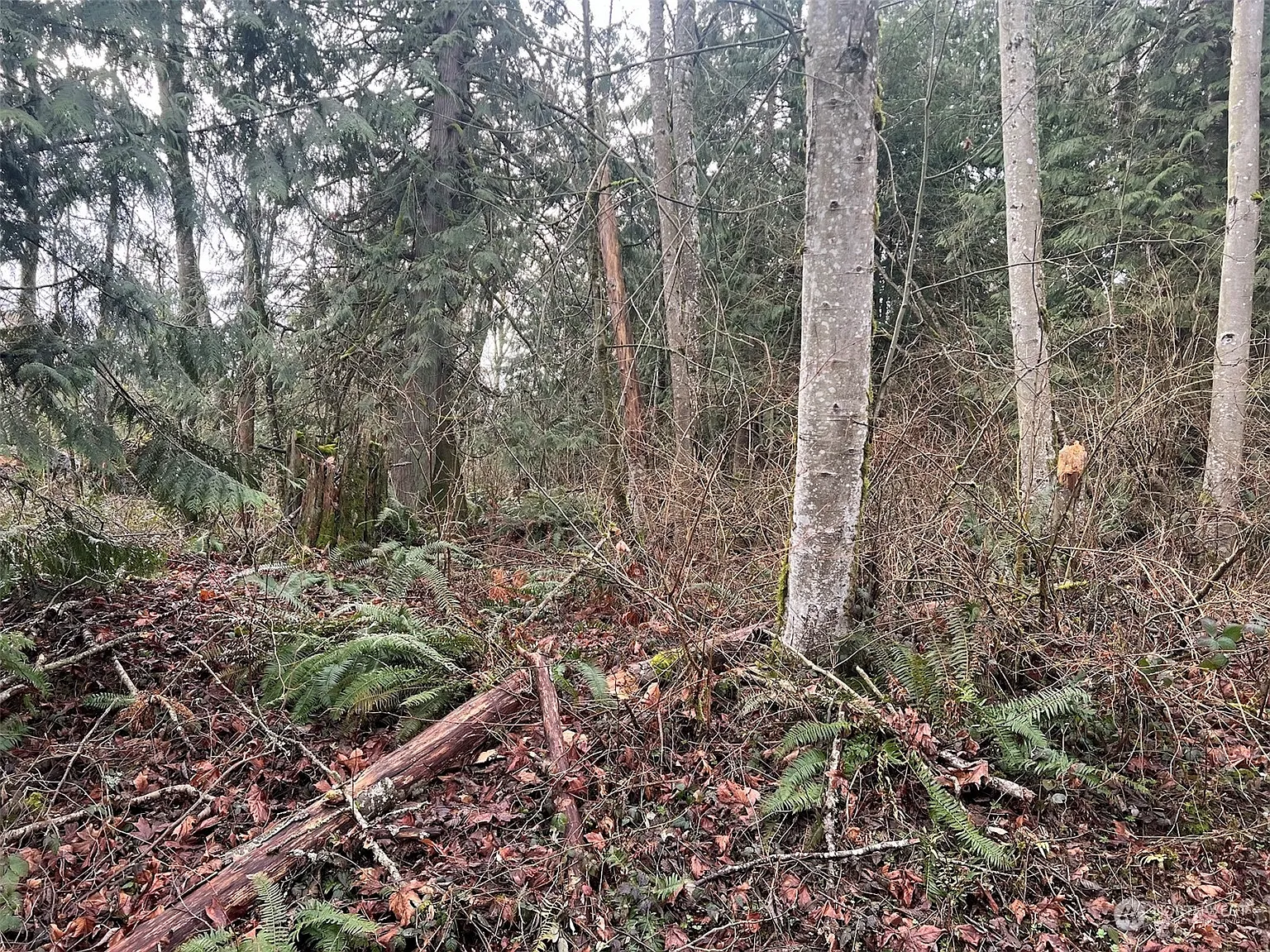 0 XX Valley View Road photo 1