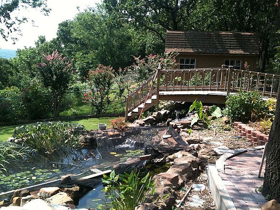 Fish Pond