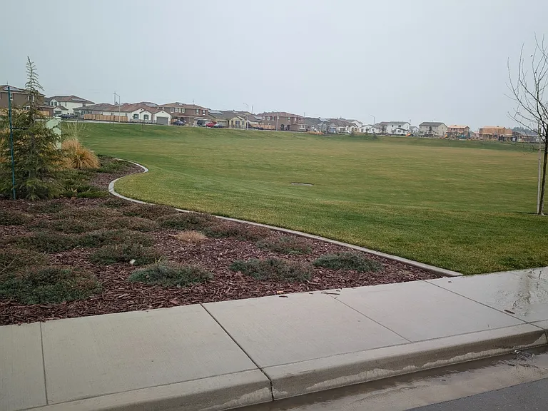 2396 Controllata St #2 — Photo 3