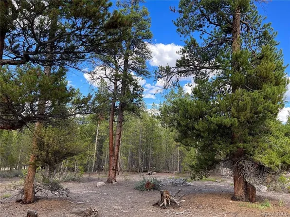 142 Juniper Dr, Twin Lakes, CO 81251