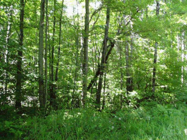 2nd image of On Aspen Ln