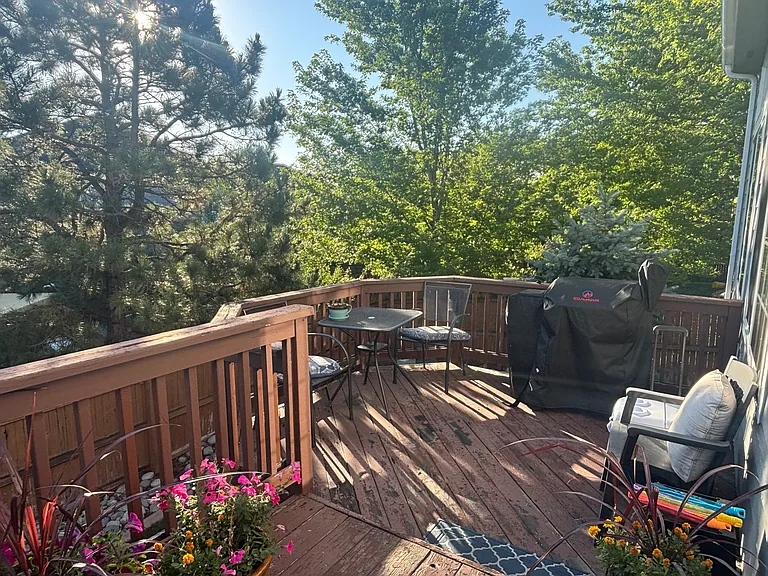 21306 White Ash Ct — Photo 19