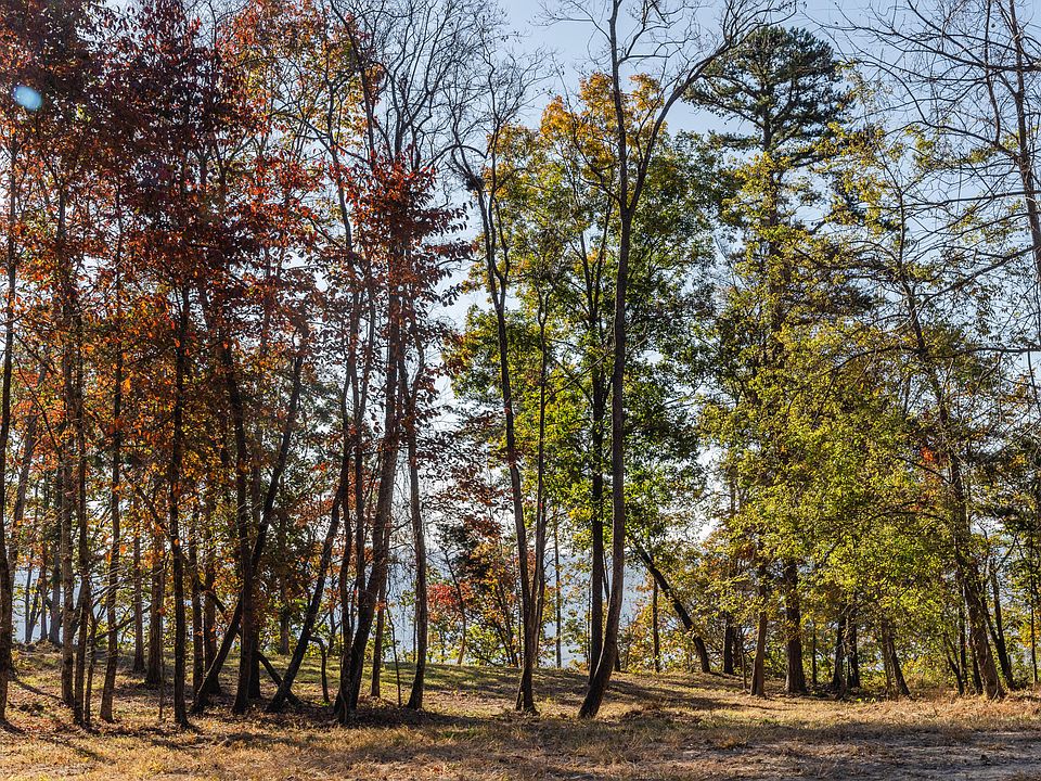 1st image of 3343 River Gorge Dr