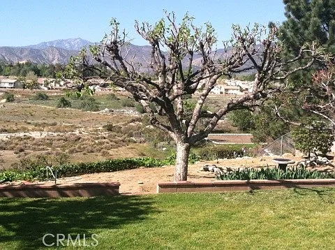 34786 Date St — Photo 3