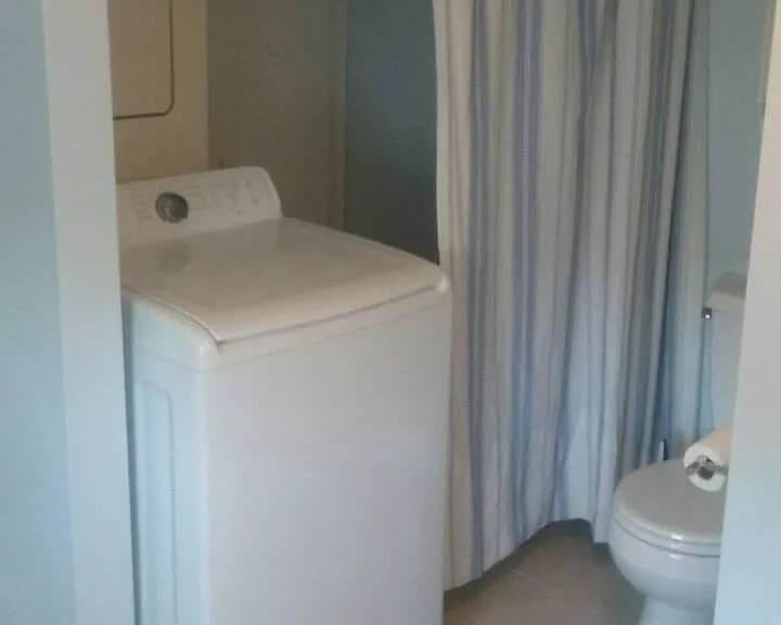 388 Spring St #3 — Photo 7