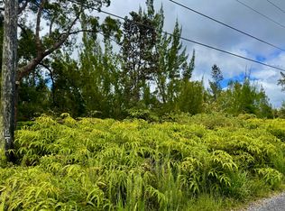 11-1989 Kaleponi Rd, Volcano, HI 96785