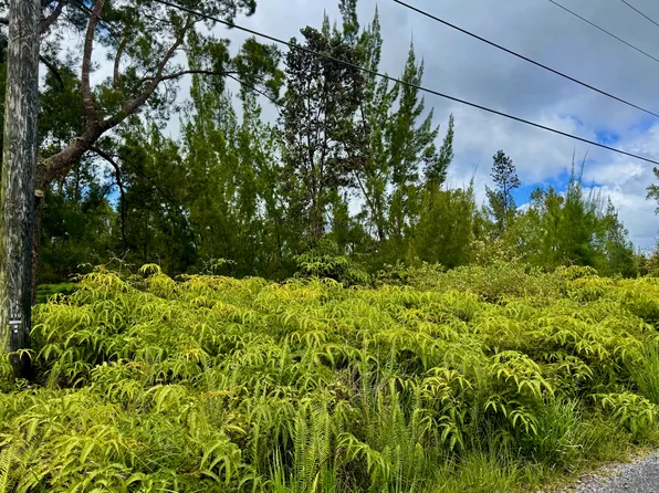 11-1989 Kaleponi Rd Lot 36, Volcano, HI 96785