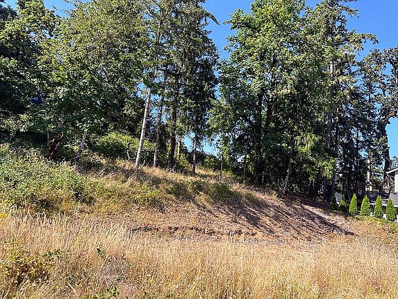 4th image of 6225 Forest Ridge Dr