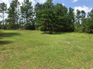 4414 Willow Springs Rd, Conway, SC 29527