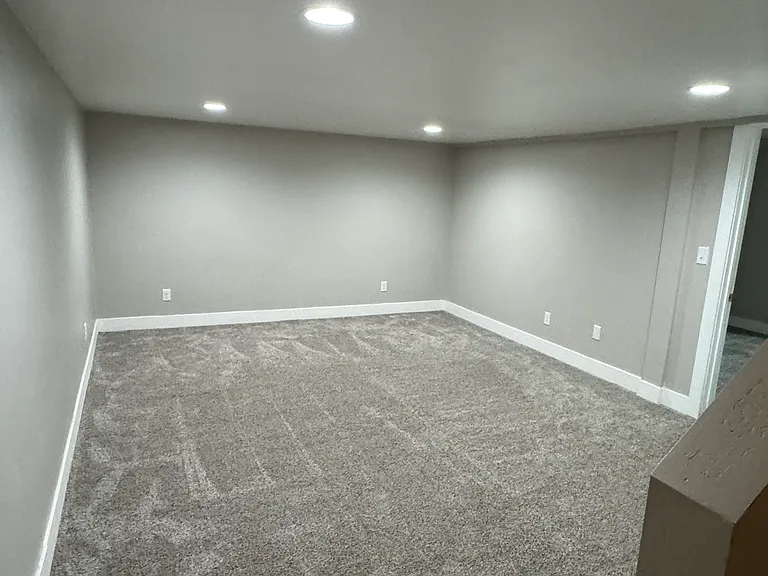 downstairs bonus living/family/flex area
