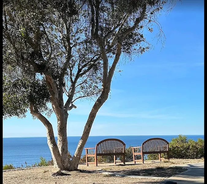 Garden Ln, San Diego — Photo 4