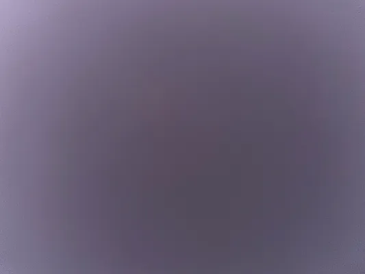 Rented by Compass | media 13