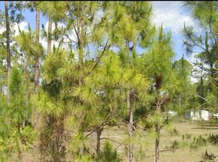 316 Truman Ave, Lehigh Acres, FL 33936