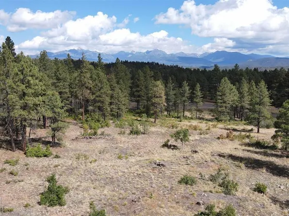 1220 Wheeler Place, Pagosa Springs, CO 81147