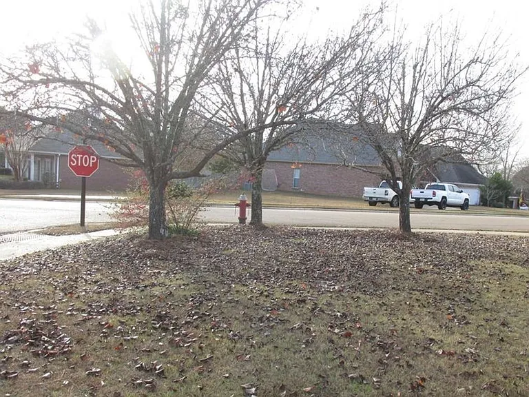 201 Apple Blossom Cir — Photo 18