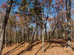 39 Preserve Trl, Ellijay, GA 30536