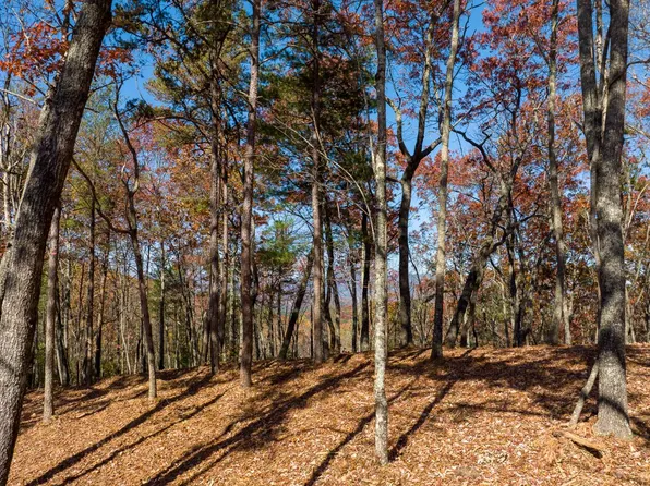 39 Preserve Trl, Ellijay, GA 30536