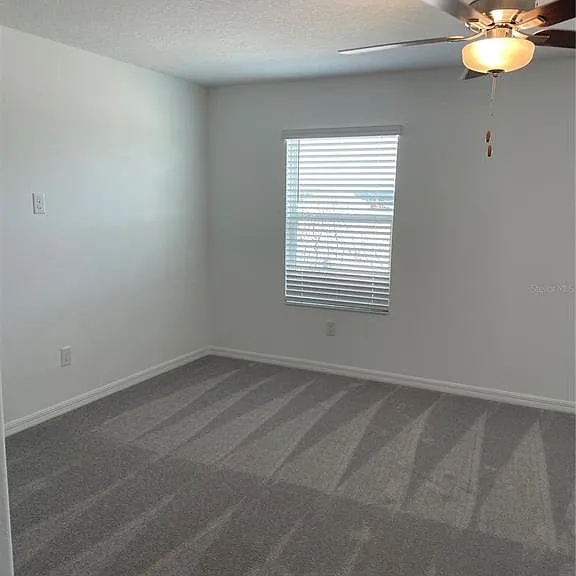 32077 Powderpuff Mimosa Dr — Photo 27