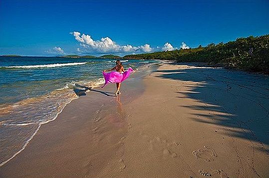 Friendly neighbor on Zoni