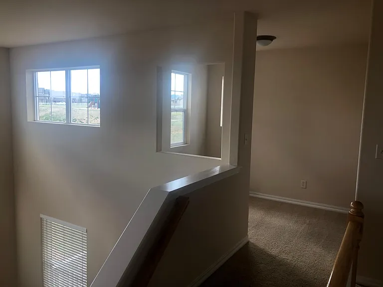 4217 Ashby Field Dr — Photo 18