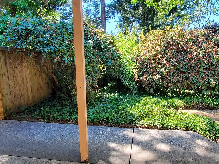Folk: 5819 - 5821 64th University Place 98467 — Photo 22