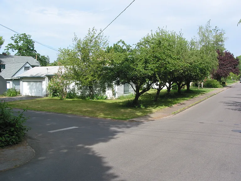 Side and front yard, looking northeast.