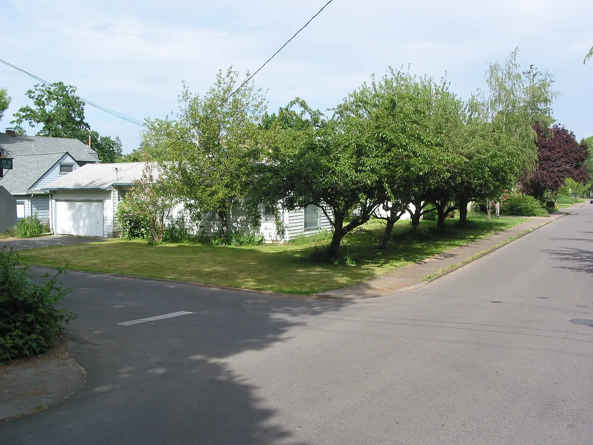 Side and front yard, looking northeast. - 935 Cross St SE