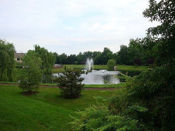 View of Pond