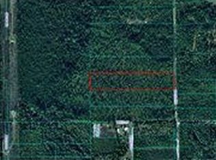 13260 NE 220th St, Fort Mc Coy, FL 32134