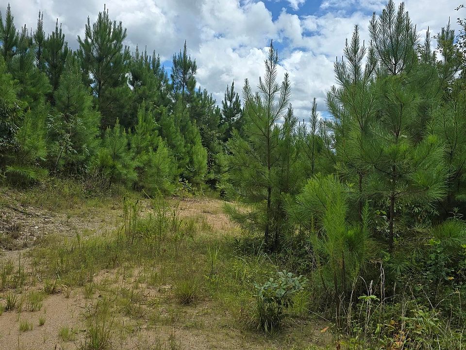 2nd image of 1 County Road 256