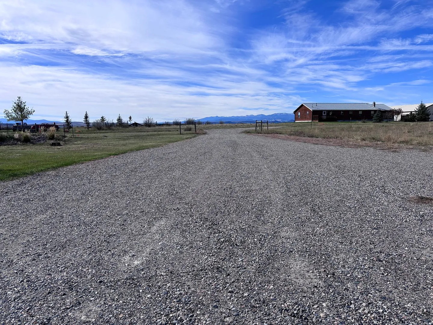 Horses, trailers, puppies and elbow roomOh My! — Photo 4