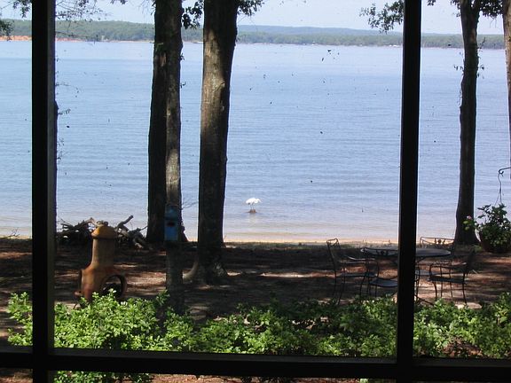 View from back porch. 