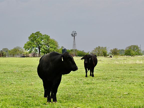 5th image of 621 Fm 572 E