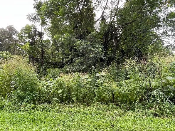 114 Hale Manu Dr #2, Hilo, HI 96720