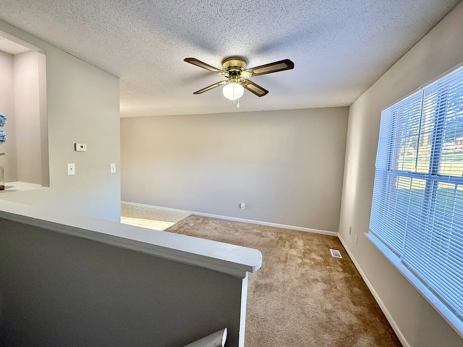 801 Old Gray Station Rd — Photo 2
